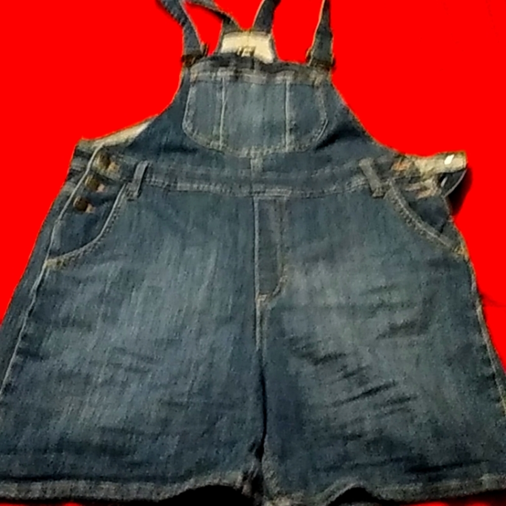 Lee overalls large